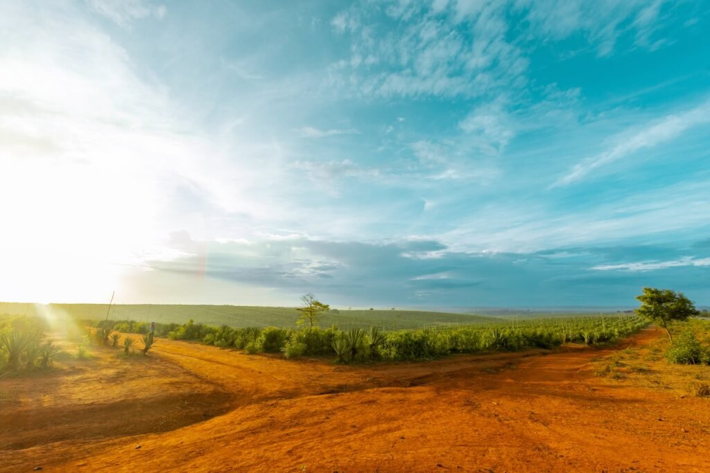 east africa