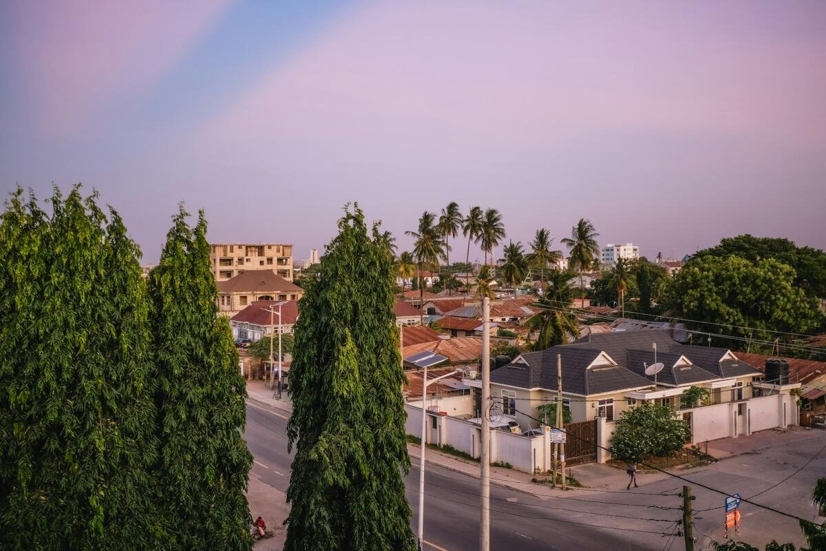 land due diligence Tanzania property acquisition
